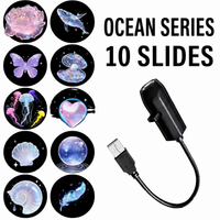 10-Ocean