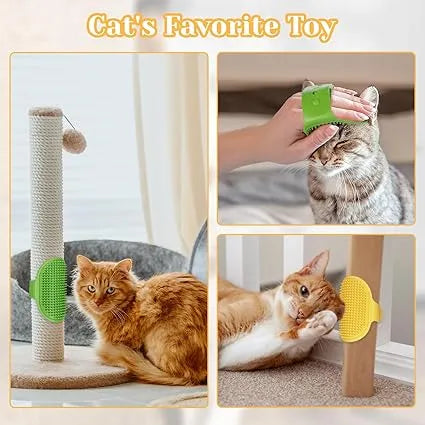 🔥Flash Sale⚡ Cat Self-Grooming Strap: Brush, Massage & De-Shed in One